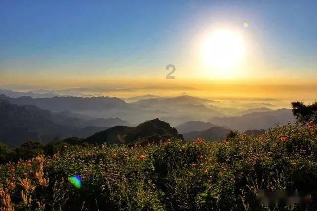 「鸭子有多“暴力”?看下雄鸭和雌鸭进化的生殖器结构,为何就知道了?,知识星球平台,专注提供精彩知识」